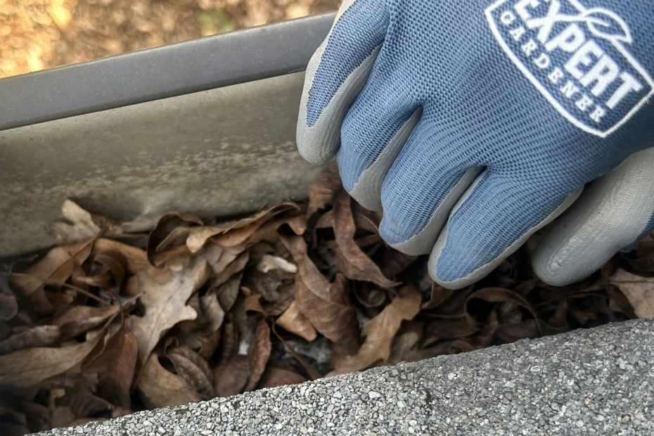 Gutter Cleaning Hobe Sound FL